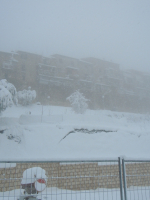 3-5-febbraio-2012-08