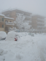 3-5-febbraio-2012-13