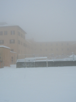 3-5-febbraio-2012-16