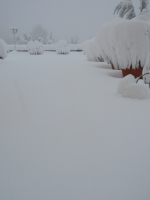 3-5-febbraio-2012-23