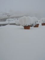 3-5-febbraio-2012-24