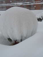 3-5-febbraio-2012-25