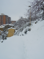 3-5-febbraio-2012-52