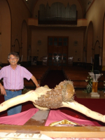 Inaugurazione-restauro-crocifisso-06