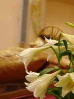 Inaugurazione-restauro-crocifisso-55