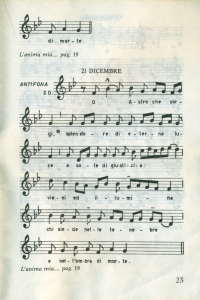 nov-nat-pagina-23